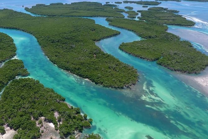 Key West Safari Eco Sandbar Tour Adventure with Snorkeling - Cow Key Channel, Quick Key West Views, and the Return Cruise