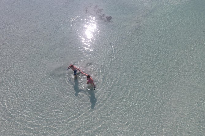 Key West Safari Eco Sandbar Tour Adventure with Snorkeling - Who Should Book This Safari Snorkel Trip