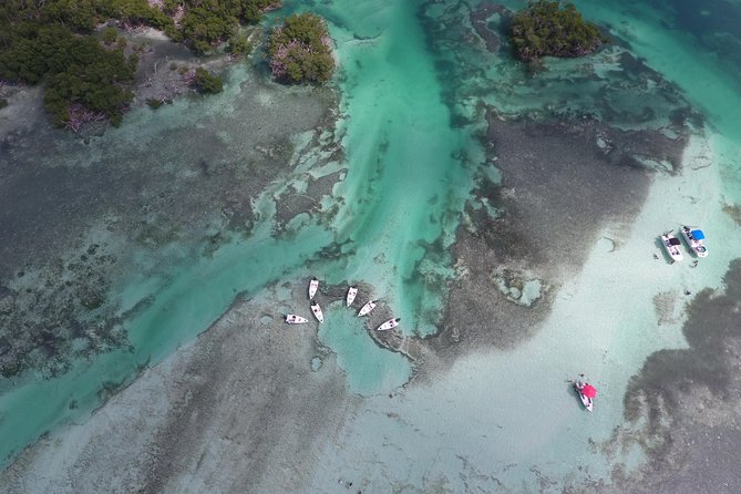 Key West Safari Eco Sandbar Tour Adventure with Snorkeling - Price and Value: Figuring Out $197.12 per Group for Up to Two