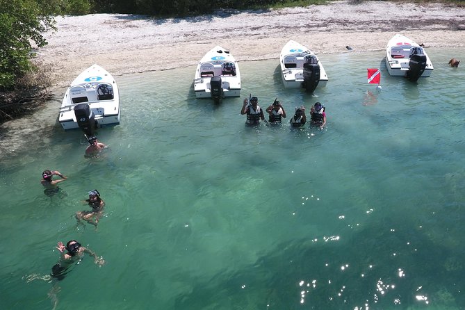 Key West Safari Eco Sandbar Tour Adventure with Snorkeling - The 2.5-Hour Flow From Stock Island to the Sanctuary