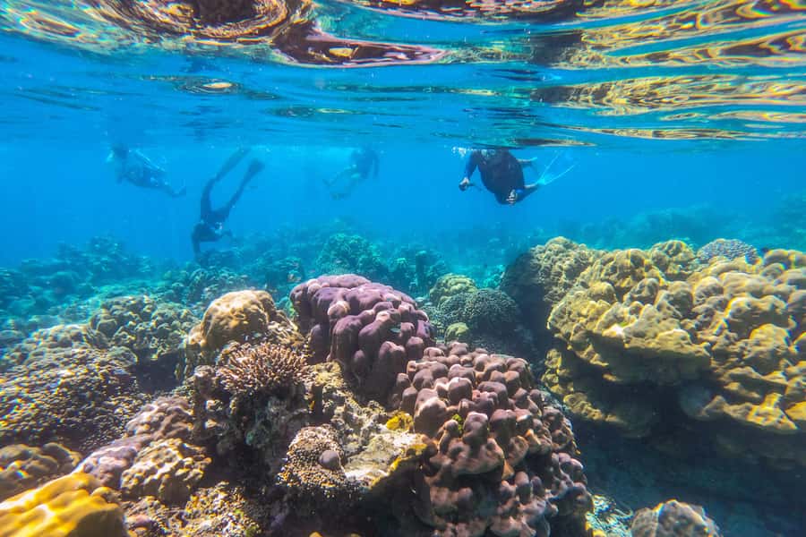 Khao Lak: Similan Islands Snorkeling Day Trip w/Meals - Similan Islands from Khao Lak: The Day Trip That Packs Big Water Views