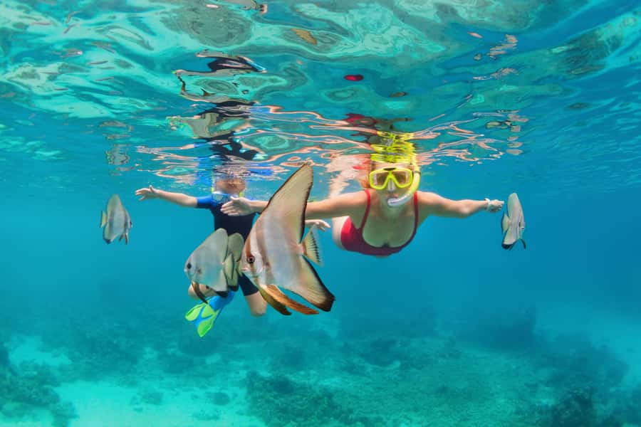 Khao Lak: Similan Islands Snorkeling Day Trip w/Meals - Snorkel Stop 1: Collar Bay (Near Koh Bangu) for Your First Reef Time