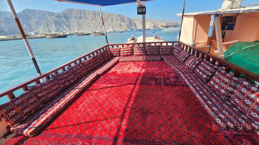 Khasab: Half-Day Dhow Cruise, Dolphin Watching, & Snorkeling - Who should book this dhow cruise (and who might want a different plan)