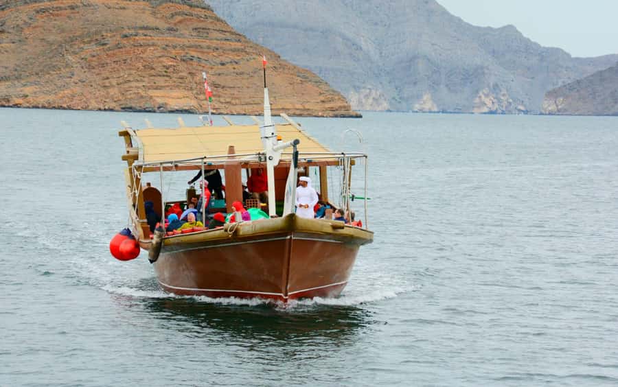 Khasab: Khor Sham Half-Day Cruise with Snorkeling & Dolphins - Telegraph Island snorkeling: short swim, clear water, real reef life
