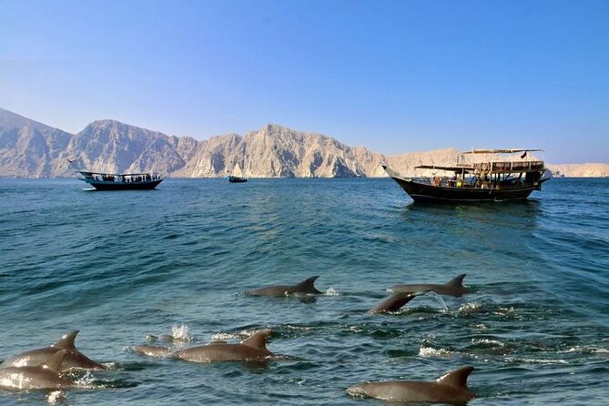 Khasab Musandam Full Day dhow cruise with lunch and Snorkeling - Seebi Island and Telegraph Island: two snorkeling zones that actually make sense