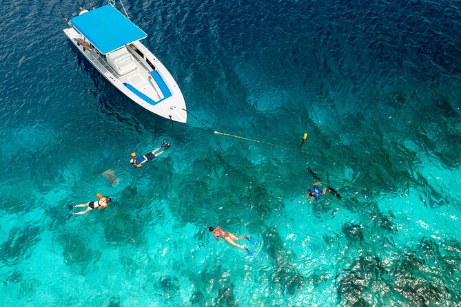 Klein Bonaire Marine Park Snorkeling Excursion - Logistics that affect your day: where to meet, timing, and cruise schedules