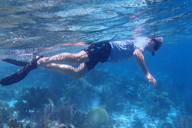 Klein Bonaire Marine Park Snorkeling Excursion - Who should book this snorkeling excursion