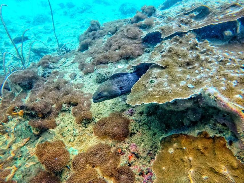 Ko Lanta: 4 Islands Snorkeling Tour by Longtail Boat - Key things I’d zero in on