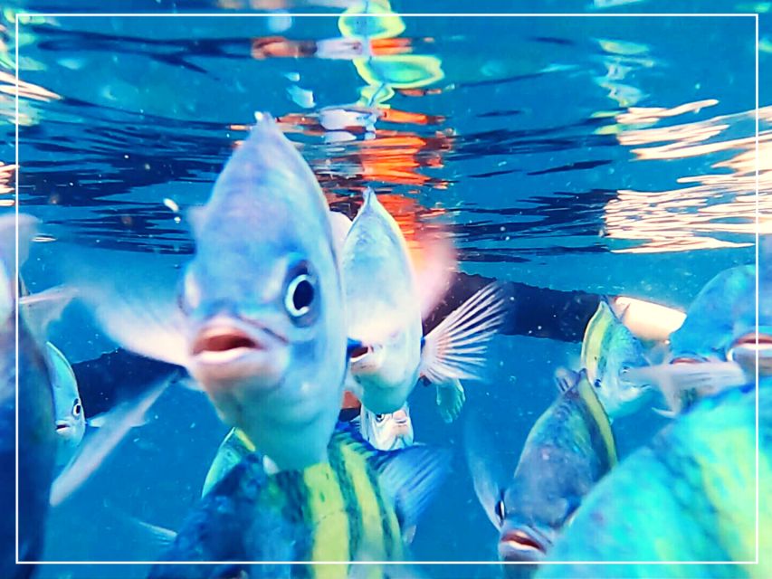 Ko Lanta: 4 Islands Snorkeling Tour by Longtail Boat - Koh Ngai: Beach Lunch, Swimming Time, and Walking Around Paradise Island