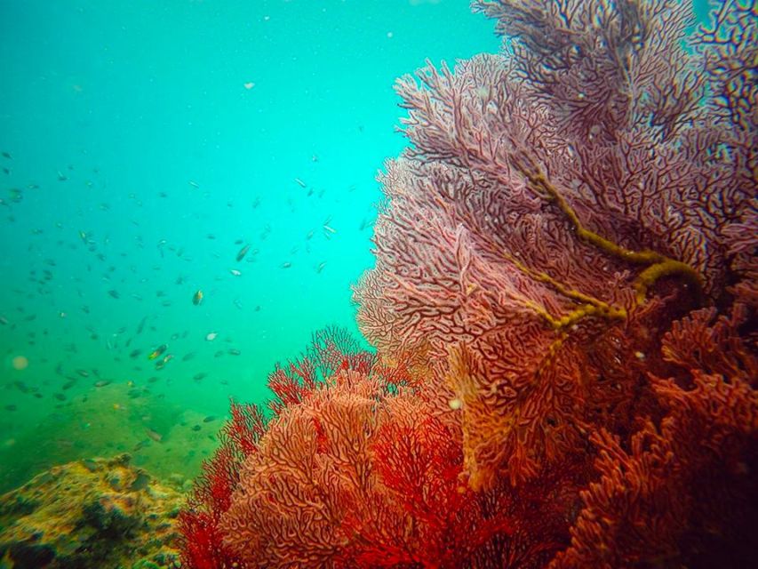 Ko Lanta: 4 Islands Snorkeling Tour by Longtail Boat - What’s Included, What to Bring, and How to Stay Comfortable