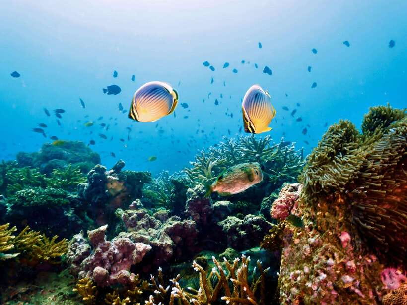 Ko Lanta: Snorkeling Adventure Tour to Koh Rok and Koh Haa - Cost and value: is $52 fair for what you get?