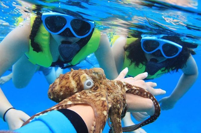 Ko Olina Catamaran Sail and Snorkel with Lunch - Starting at Ko Olina Marina Store: check-in that won’t eat your time