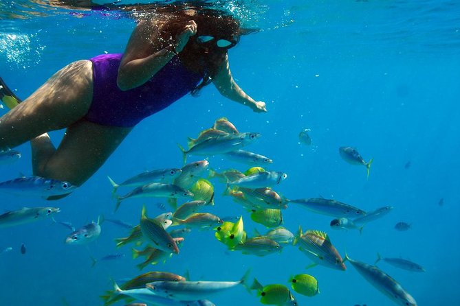 Ko Olina Catamaran Sail and Snorkel with Lunch - Lunch and drinks: included food that actually hits