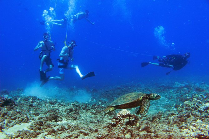 Ko Olina Catamaran Sail and Snorkel with Lunch - What makes the catamaran ride feel different