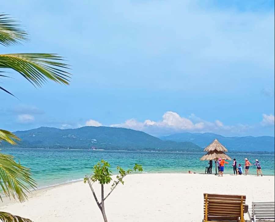 Ko Samui: Pig Island Snorkeling and Koh Tan Speedboat Tour - Price and What You Truly Get for $51