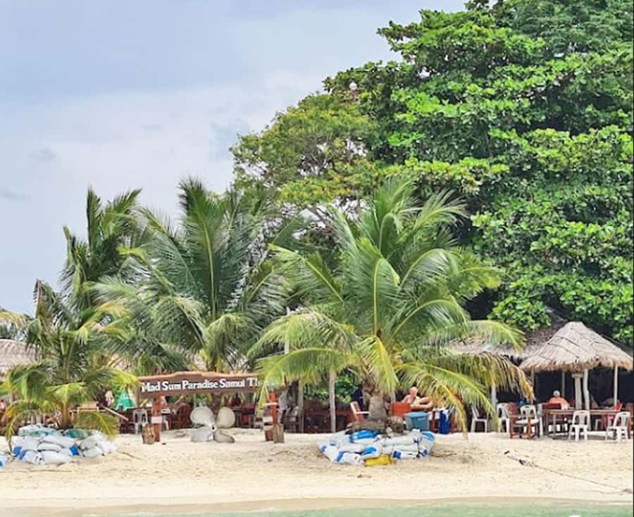 Ko Samui: Pig Island Snorkeling and Koh Tan Speedboat Tour - Who This Tour Suits Best (and Who Should Skip It)