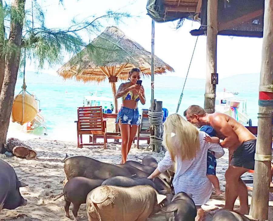 Ko Samui: Pig Island Snorkeling and Koh Tan Speedboat Tour - Tips to Make Your Pig Island and Koh Tan Day Feel Like a Win