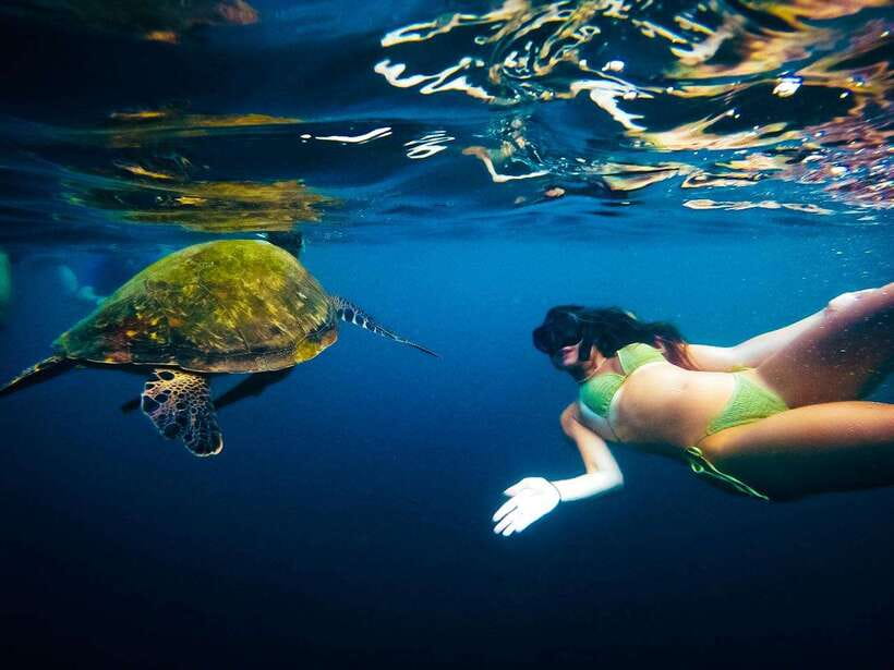 Ko Tao: Late Riser Snorkeling Tour with Lunch and Photos - Underwater Photos via QR Code: How You’ll Get Your Images