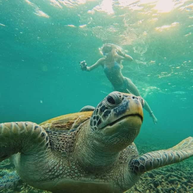 Ko Tao: Tao-Nangyuan Snorkeling Day Trip with Meals & Sunset - The free photo service: why it’s not just a gimmick