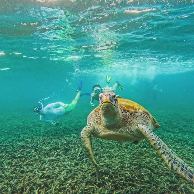Ko Tao: Tao-Nangyuan Snorkeling Day Trip with Meals & Sunset - Price and value: why $62 can make sense for a full Ko Tao water day