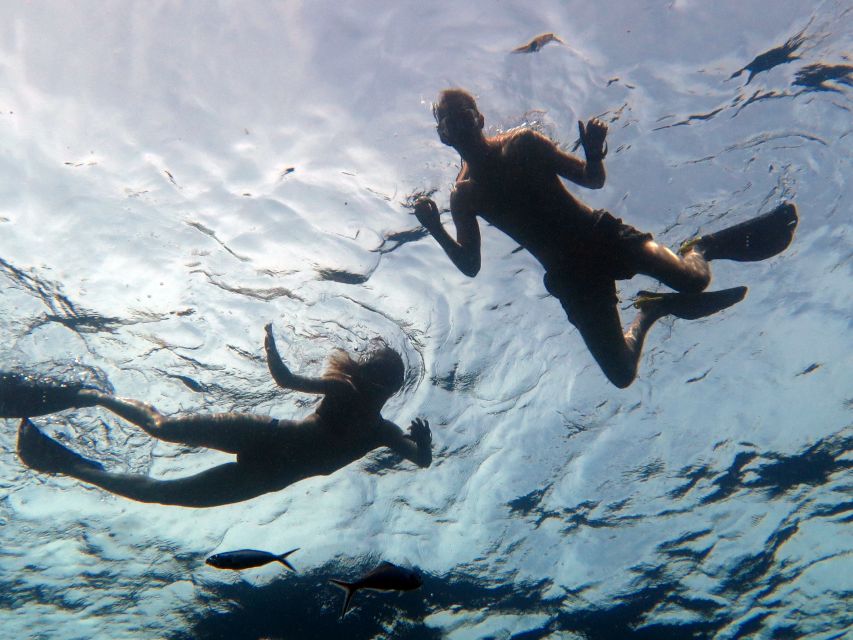 Koh Chang: Snorkeling Trip to Reefs or Wrecks with Lunch - If your day includes the shipwreck: what changes and what to watch