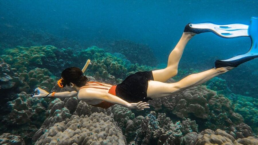 Koh Lipe: Longtail Boat Snorkeling Trip Program A - Why Koh Lipe’s Longtail Snorkel Feels Built for Real Day-Trippers