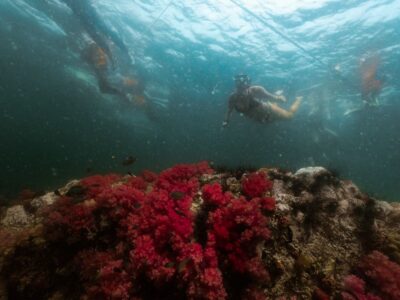 Koh Lipe: Longtail Boat Snorkeling Trip Program A - Boat Setup, Safety, and the Gear You Actually Get