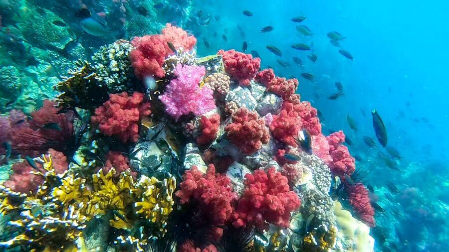 Koh Lipe: Longtail Boat Snorkeling Trip Program A - The 6-Hour Route: What Each Stop Really Adds