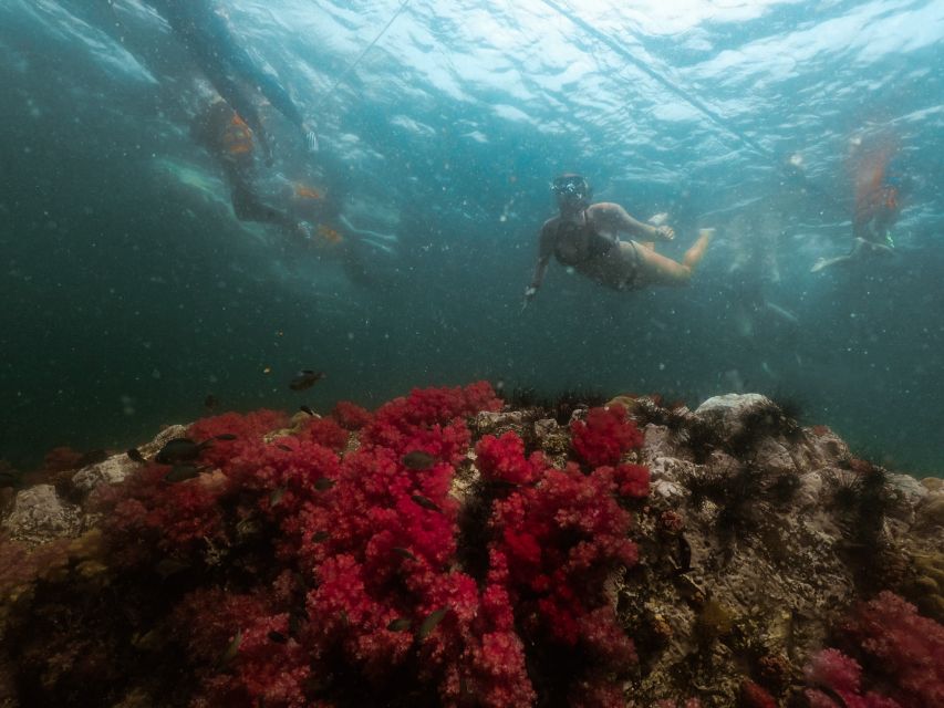 Koh Lipe: Longtail Boat Snorkeling Trip Program A - Boat Setup, Safety, and the Gear You Actually Get