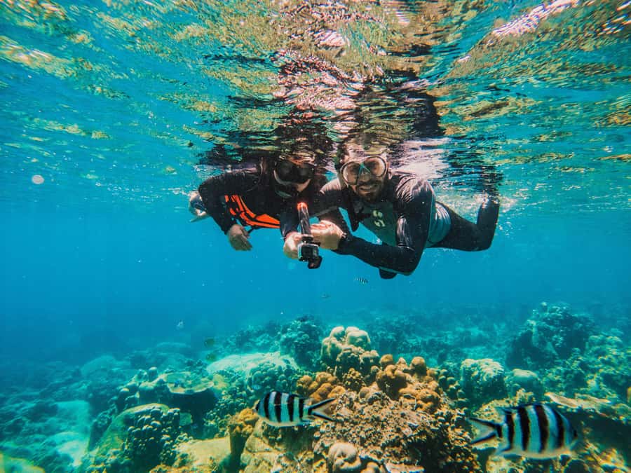 Koh Samui: Koh Tao and Nangyuan Snorkeling Tour with Lunch - Buddha Point (Hin Ta Toh) on Koh Tao: The Snorkeling Stop Most People Remember