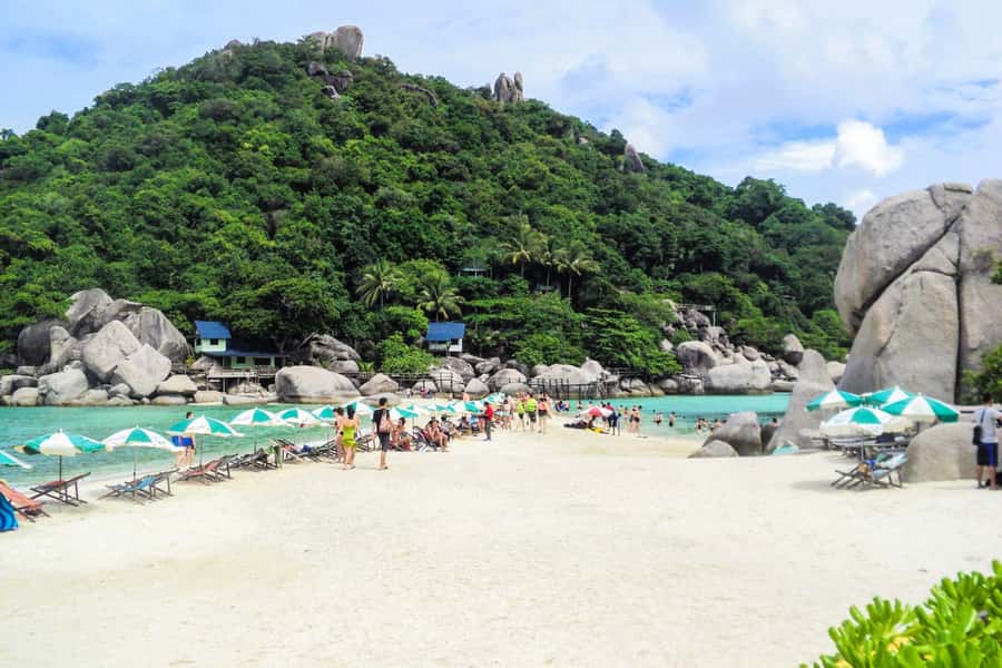 Koh Samui: Koh Tao and Nangyuan Snorkeling Tour with Lunch - Lunch on Koh Tao: Thai Buffet, Real Break Energy