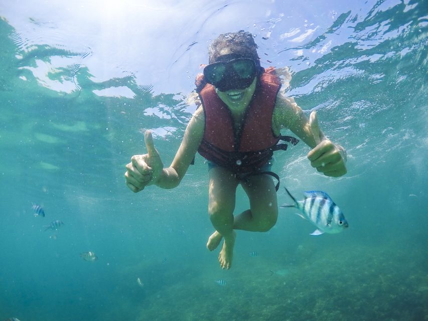 Koh Samui: Pig Island & Koh Tan Snorkeling by Speed boat - Key highlights that matter