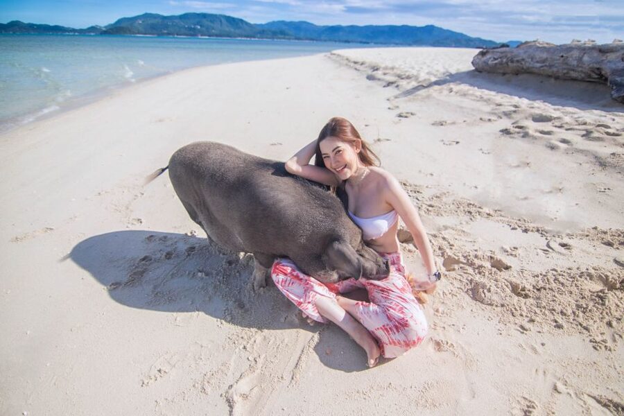 Koh Samui: Pig Island & Koh Tan Snorkeling by Speed boat - Lunch on Koh Tan: the break that makes the whole day work