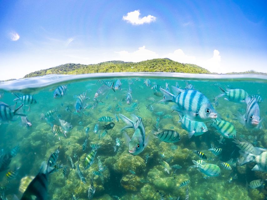Koh Samui: Pig Island & Koh Tan Snorkeling by Speed boat - Getting to the private pier from your hotel in Koh Samui