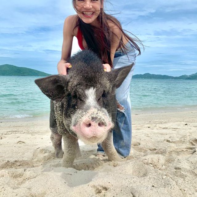 Koh Samui: Pig Island Tour by Speedboat with Snorkeling - Best Fit: Families, Beginner Snorkelers, and Pig Lovers