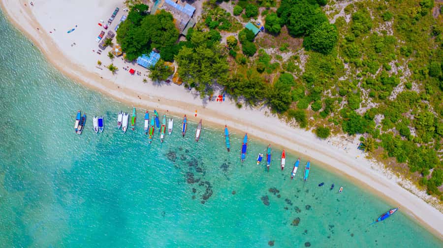 Koh Samui: Private Longtail Boat to Pig Island with Snorkel - Who this tour suits best (and who should skip it)