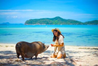 Koh Samui: Private Longtail Boat to Pig Island with Snorkel - Getting to Naphat Tour near Thong Krut Pier (and why early helps)