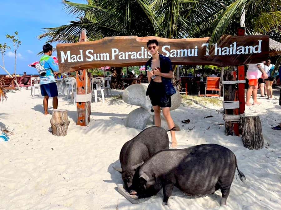 Koh Samui: Private Longtail Boat to Pig Island with Snorkel - What’s included, what’s extra, and how to plan your budget