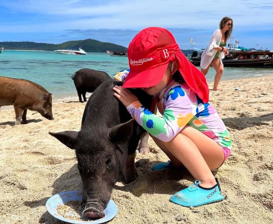 Koh Samui: Private Longtail Boat to Pig Island with Snorkel - Boat timing, sea conditions, and schedule changes (how to avoid surprises)