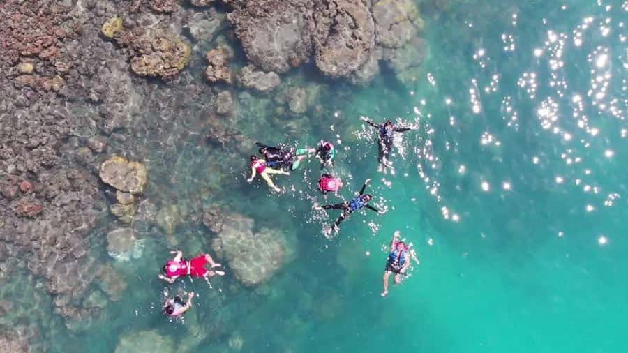 Koh Samui: Sunset Pig Island and Snorkeling Koh Tan w/Dinner - Koh Tan Snorkeling for Coral and Fish: What You’ll Notice Most