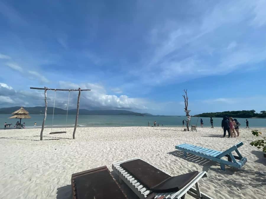 Koh Samui: Sunset Pig Island and Snorkeling Koh Tan w/Dinner - Should You Book Sunset Pig Island and Snorkeling Koh Tan w/Dinner?