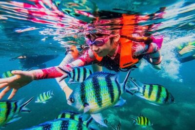 Koh Tao and Koh Nang Yuan Snorkel Tour (Speedboat from Koh Samui) - Morning Pickup to the Pier: Timing and Comfort