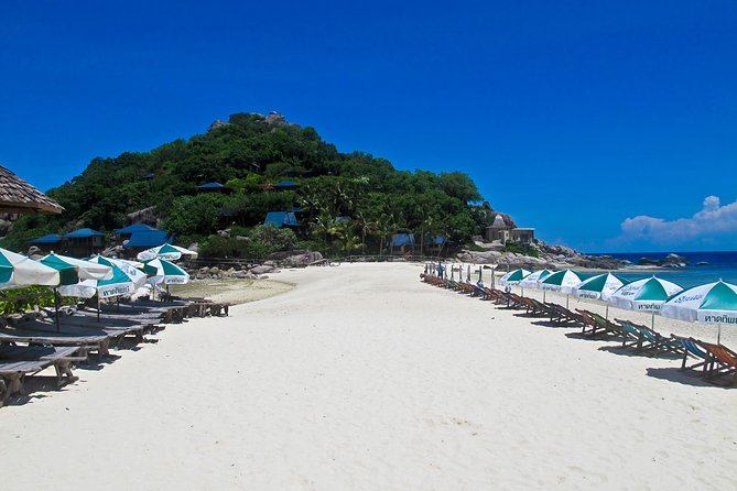 Koh Tao and Koh Nang Yuan Snorkel Tour (Speedboat from Koh Samui) - Snorkeling Reality Check: Crowds, Sea Lice, and Making It Better