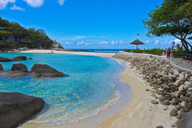 Koh Tao and Koh Nang Yuan Snorkel Tour (Speedboat from Koh Samui) - Food on Board and on Koh Tao: Thai Buffet Plus Vegetarian Limits