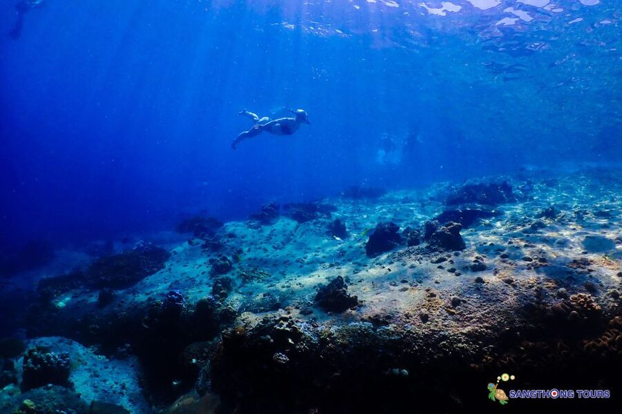 Koh Tao: Islands Snorkeling Highlights Day Tour & Lunch - Key things I’d remember before you go