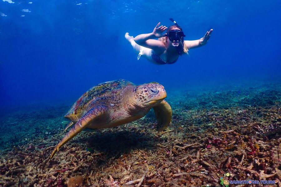 Koh Tao: Islands Snorkeling Highlights Day Tour & Lunch - FAQ