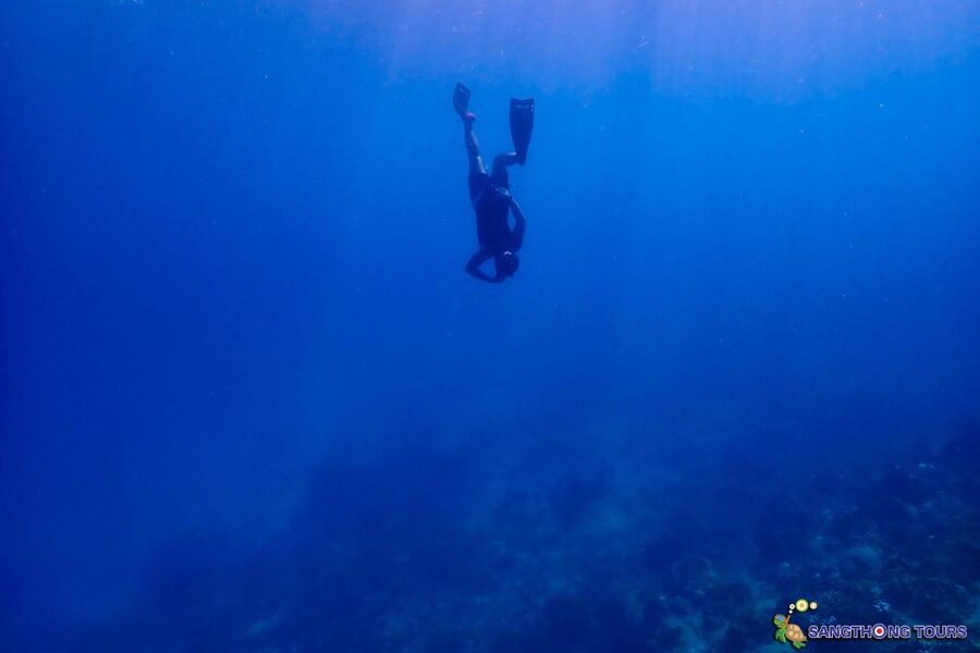 Koh Tao: Islands Snorkeling Highlights Day Tour & Lunch - Japanese Reef Garden and Hin Wong Bay: how the reefs differ