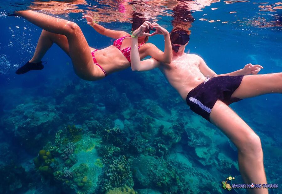 Koh Tao: Islands Snorkeling Highlights Day Tour & Lunch - Should you book this Koh Tao snorkeling highlights tour?