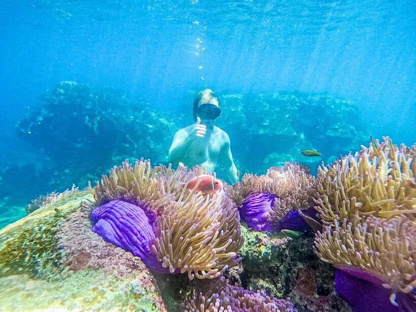 Koh Tao: Koh Nangyuan & Hidden Bays Snorkeling Tour w/ Lunch - Key Highlights