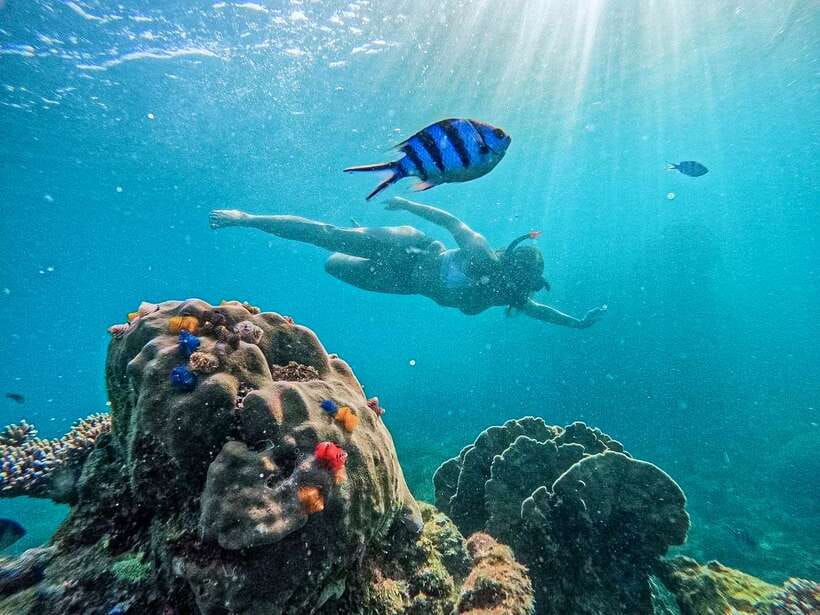 Koh Tao: Koh Nangyuan & Hidden Bays Snorkeling Tour w/ Lunch - Boat Day Basics: Pickup, Gear, and How the Crew Runs the Water